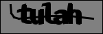 متن برای شناسایی